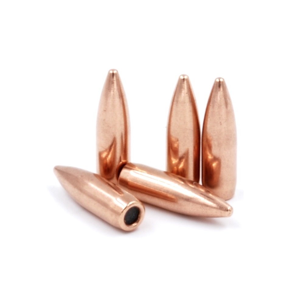 Prvi Partizan Prvi Partizan Bullets .223 Rem.  62 grain