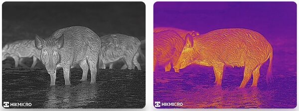 HikMicro Hikmicro Raptor RH50L Thermische Binoculair HikMicro Hikmicro Raptor RH50L Thermische Binoculair