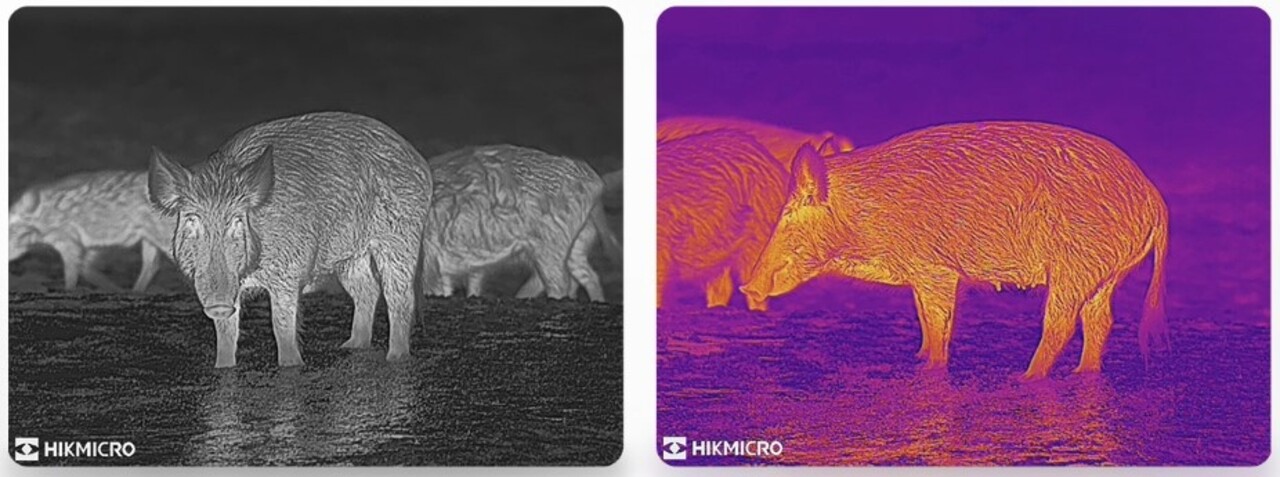 HikMicro Hikmicro Raptor RQ50L Thermal Binocular