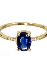 Bo Gold Ring - Goud - Kyaniet - Diamant