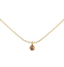 Bo Gold Ketting - Goud - Champagne diamant