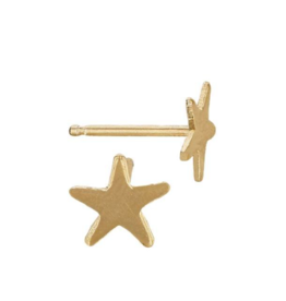 Bo Gold Oorbellen - Goud Ster