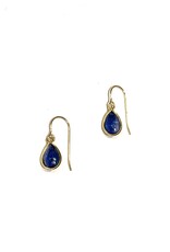 Bo Gold Earrings - Gold - Kyanite