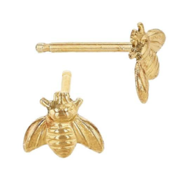 Bo Gold Earring - Gold