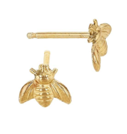 Bo Gold Earring - Gold