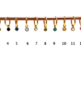 Bo Jewels Earrings - Hoop