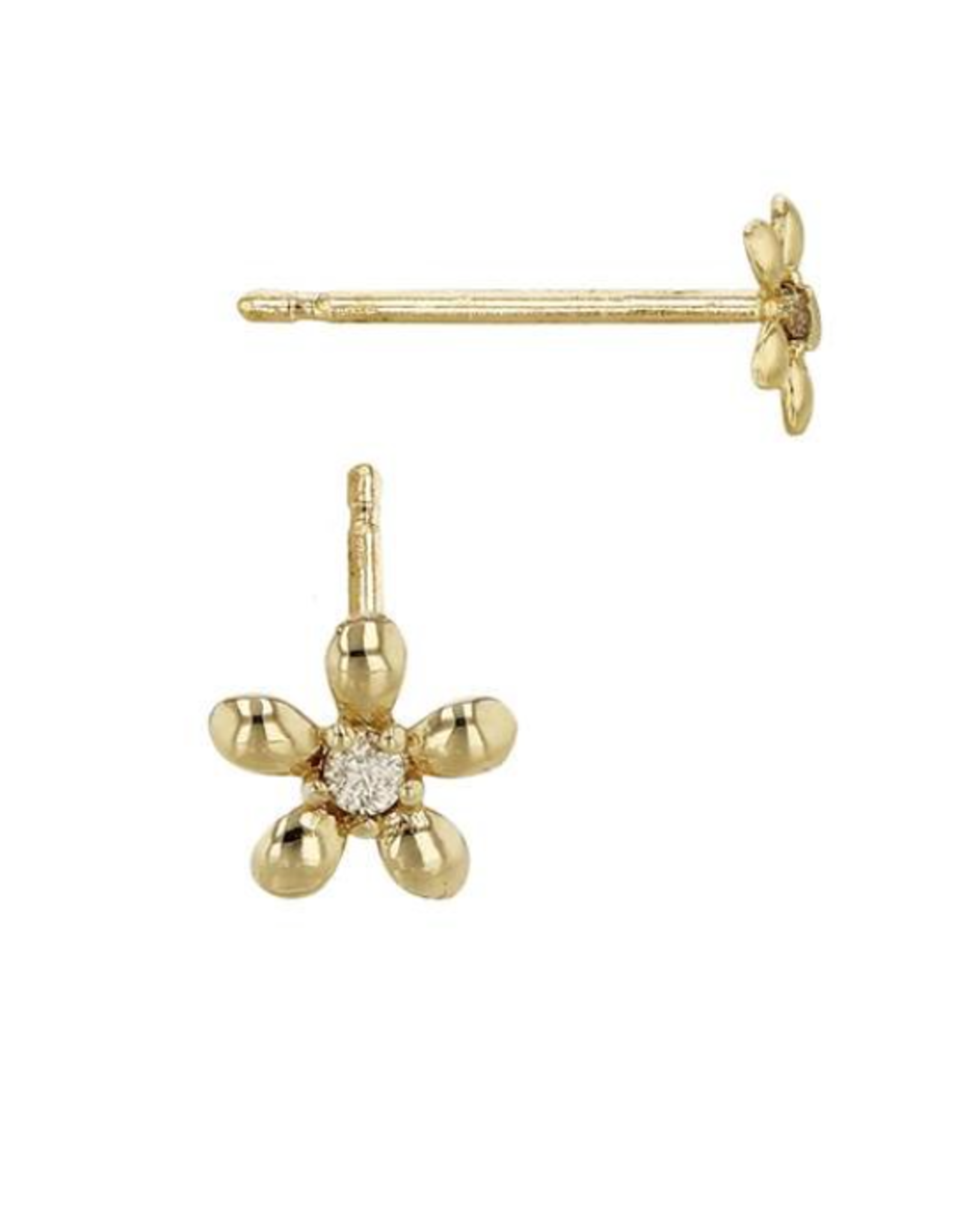 Bo Gold Earrings - Gold