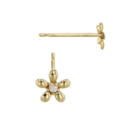 Bo Gold Earrings - Gold
