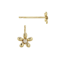 Bo Gold Earrings - Gold