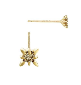 Bo Gold Earring - Gold - Star - Diamond