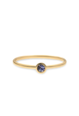 Swing Jewels Ring - Goud -  Tanzaniet - December