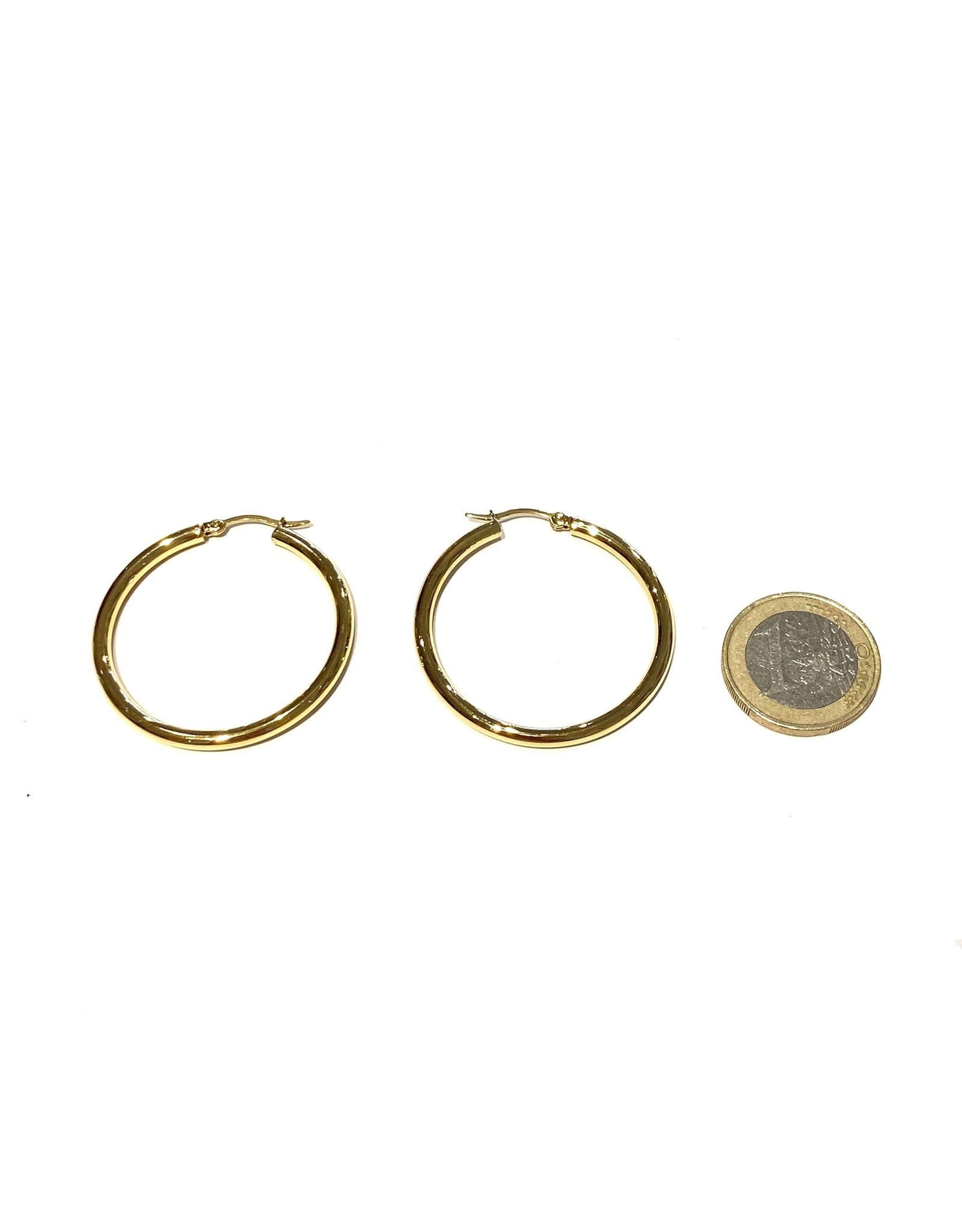 Zag Bijoux Hoops Earrings