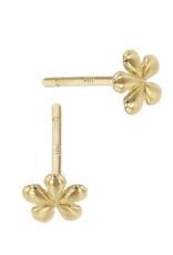 Bo Gold Earring - Gold