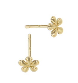 Bo Gold Oorbel - Goud