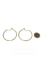 Zag Bijoux Paris Earrings