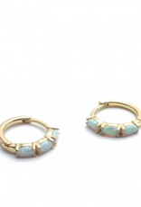 Rose Marie Earrings - Mini hoop