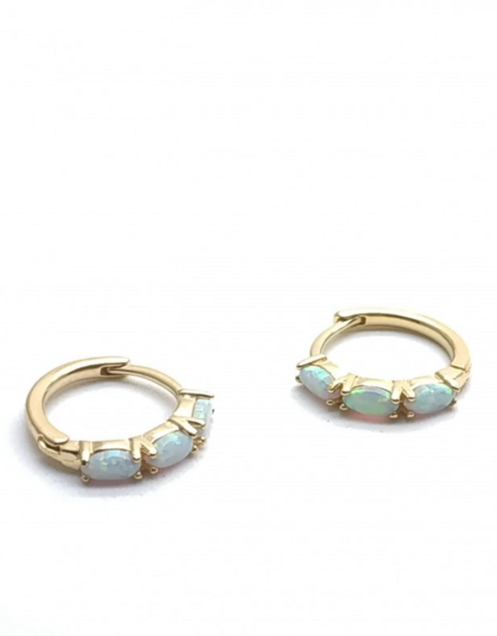 Rose Marie Oorbellen - Mini hoop