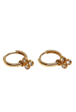 Bo Gold Earrings - Gold - Diamond