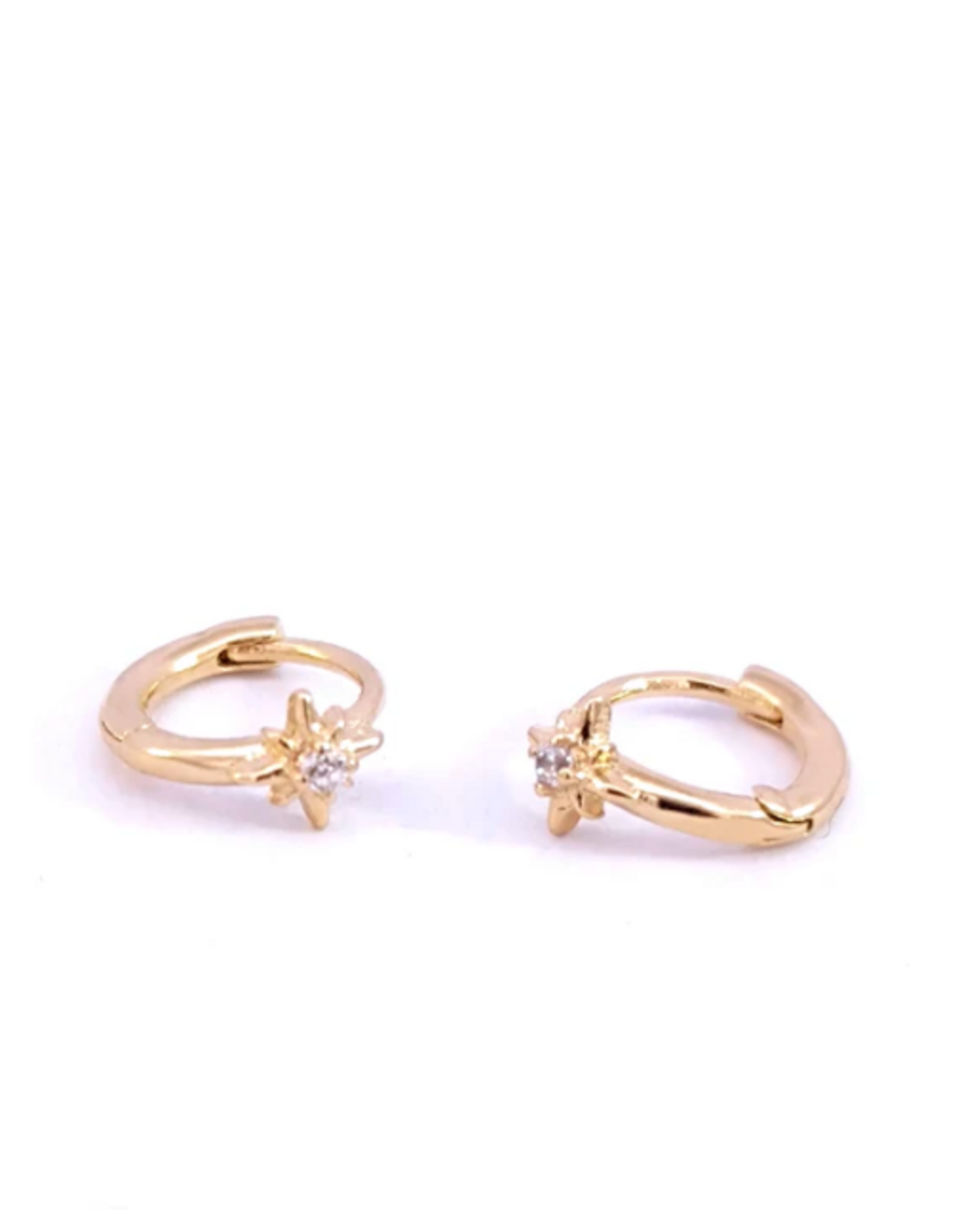 Rose Marie Earrings - Mini hoop