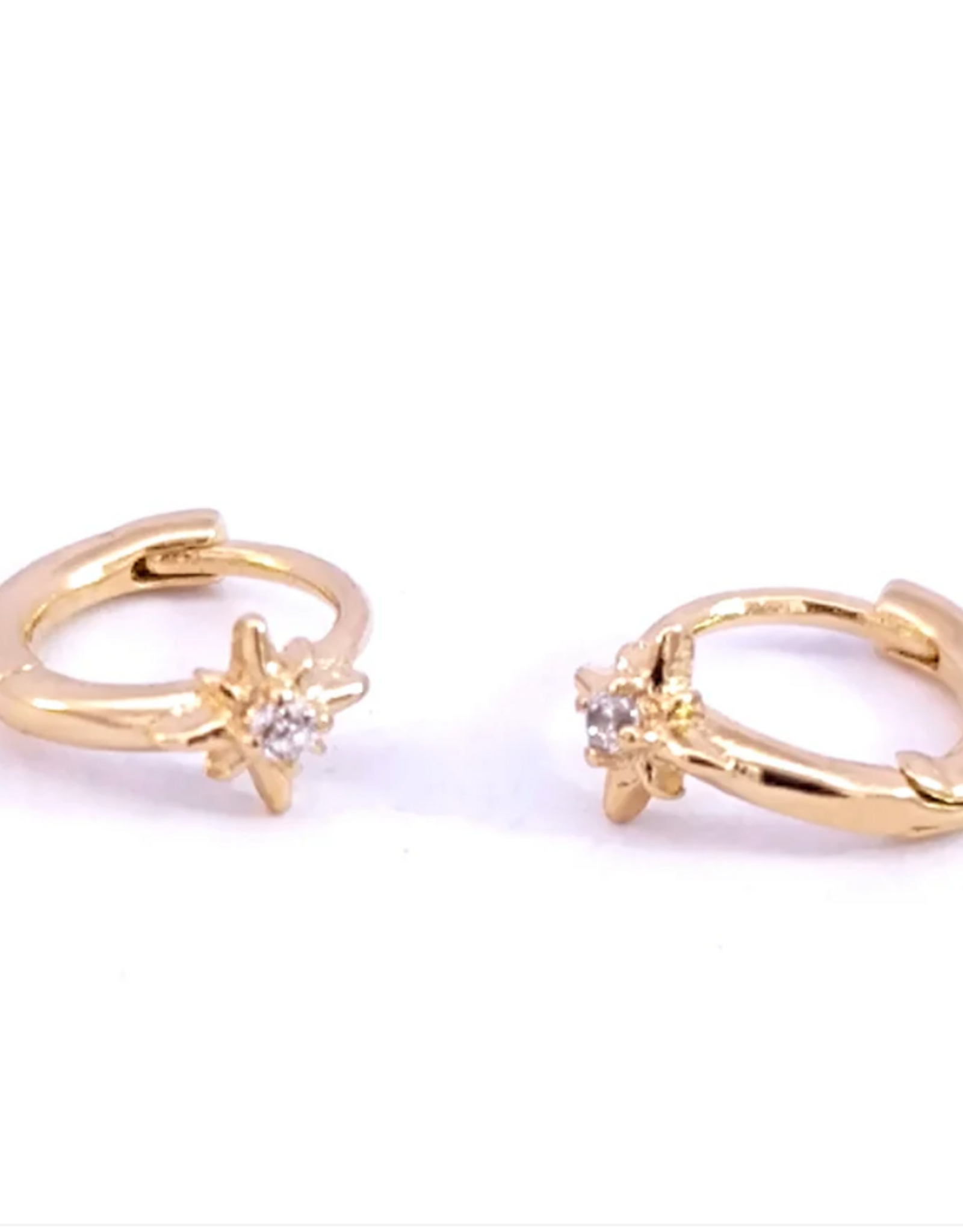 Rose Marie Earrings - Small hoop