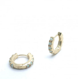 Rose Marie Earrings - Small hoop