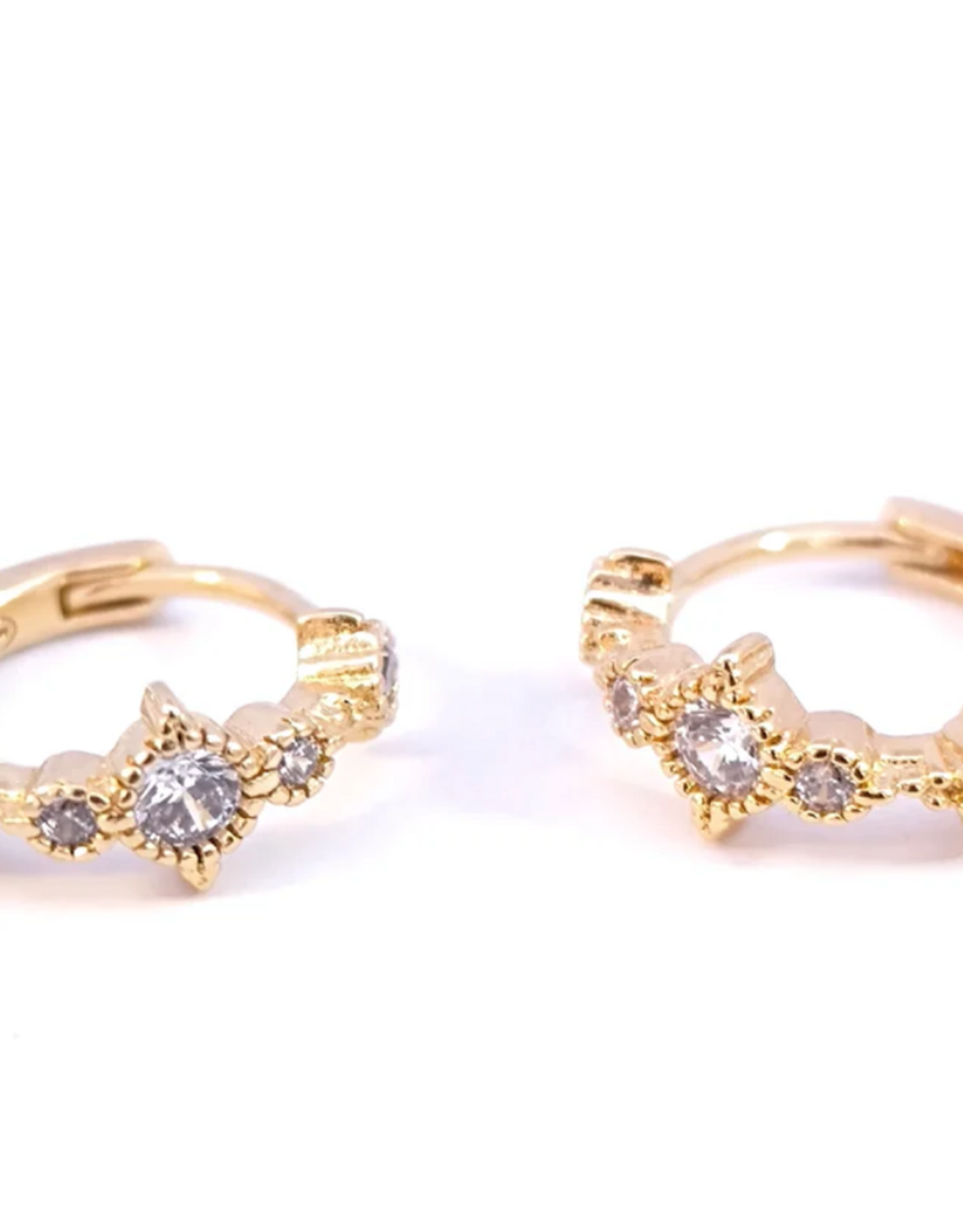 Rose Marie Earrings - Small hoop
