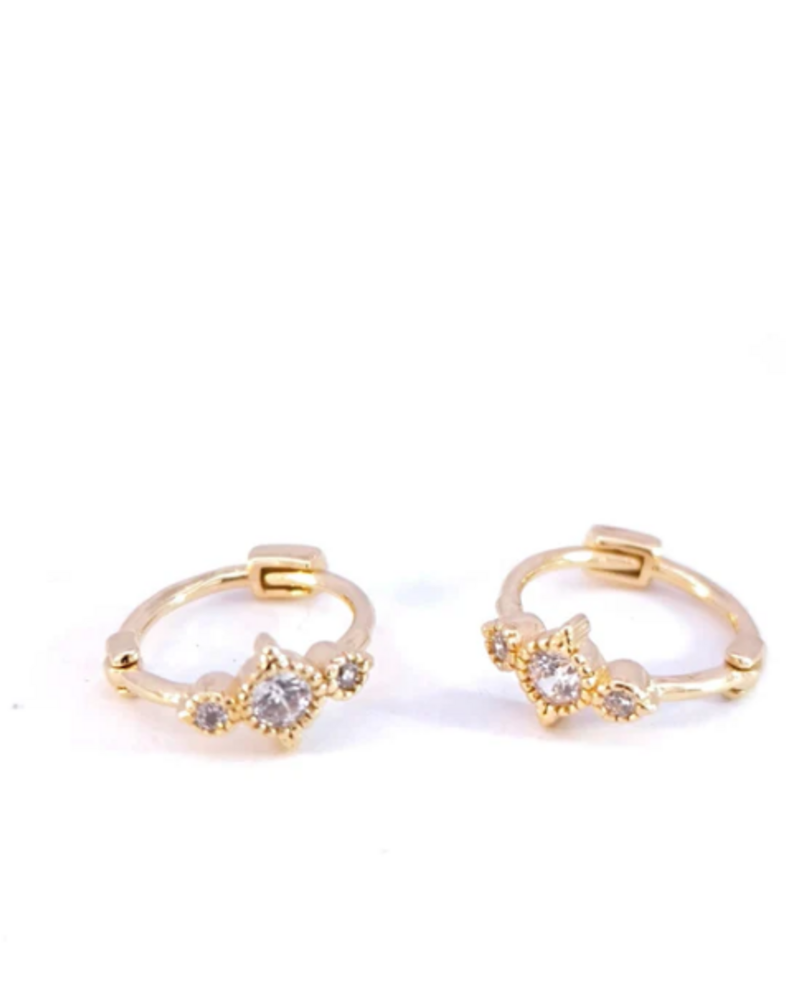 Rose Marie Earrings - Small hoop