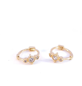 Rose Marie Earrings - Small hoop