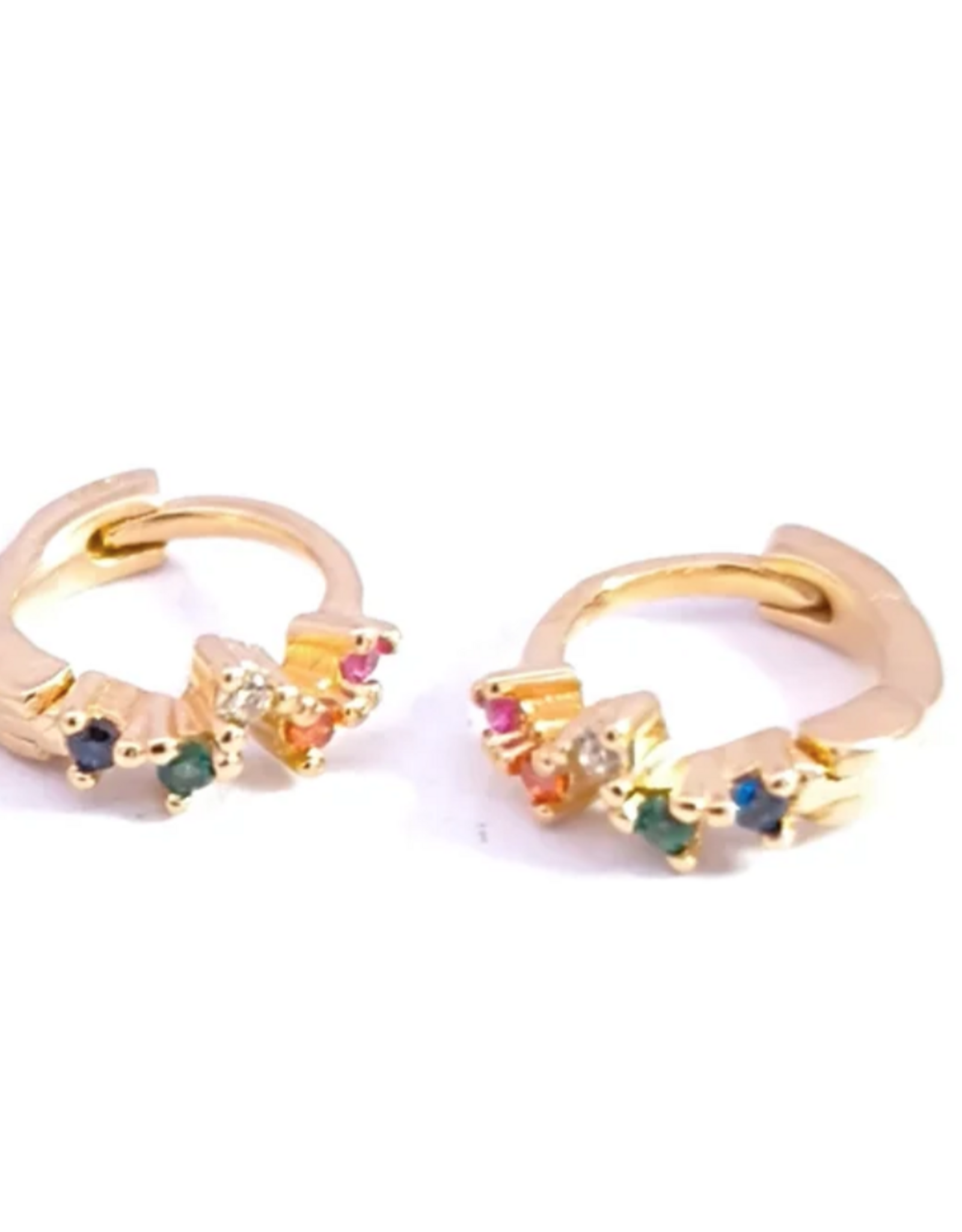 Rose Marie Earrings - Mini hoop