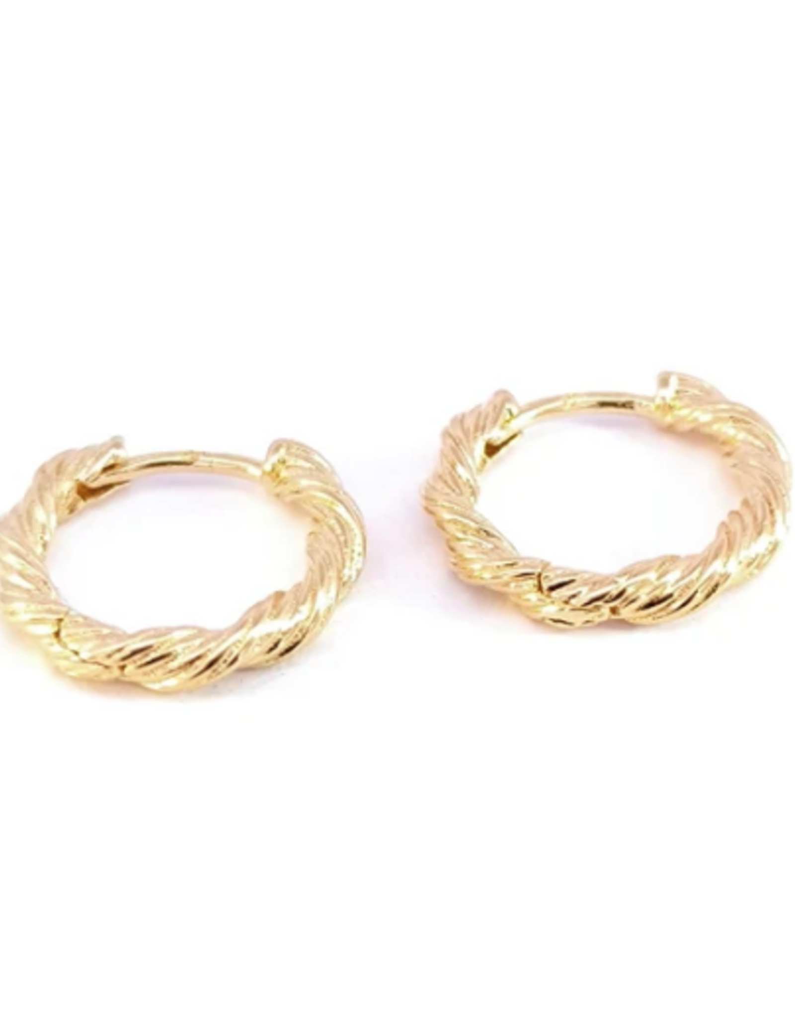 Rose Marie Earrings - Hoop