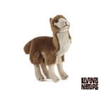 Living Nature Lama