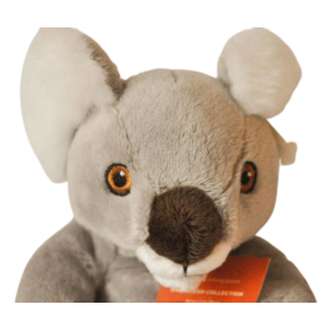 Anna Plush Baby koala