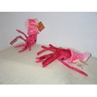 Anna Plush inktvis van WWF