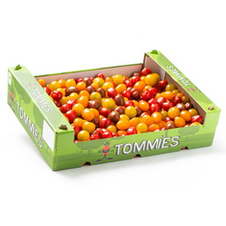 Tommies Mix 4 kleuren doos 4kg