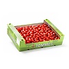 Tommies Snacktomaten Rood doos 4kg