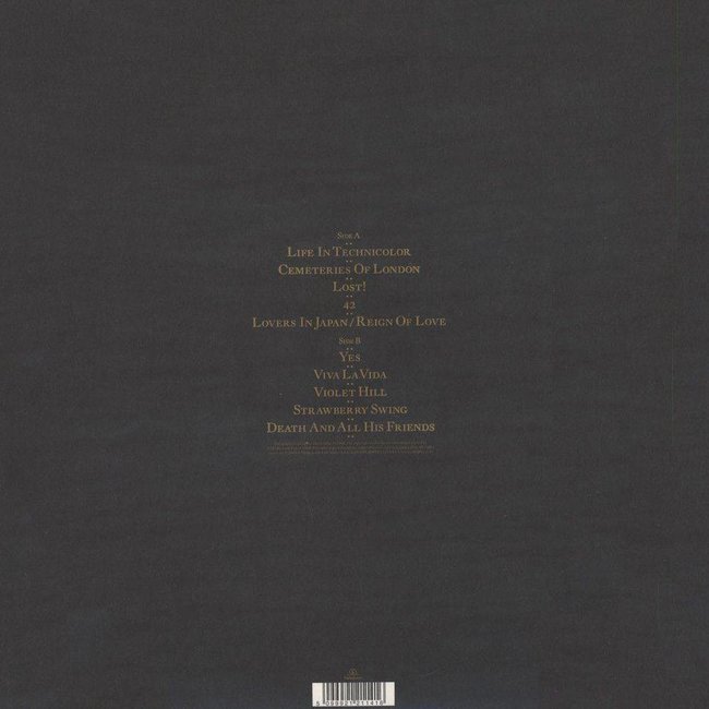 Coldplay Viva La Vida or Death and All His Friends ( vinyl LP )