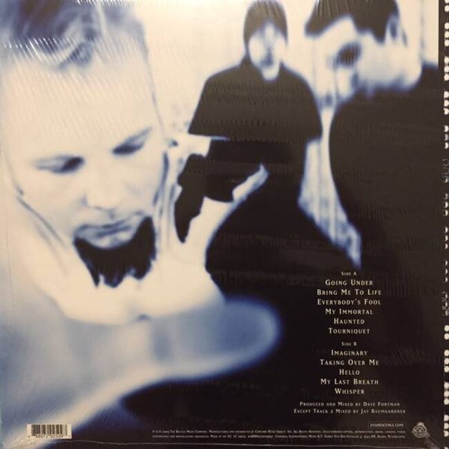 Evanescence Fallen ( vinyl LP )