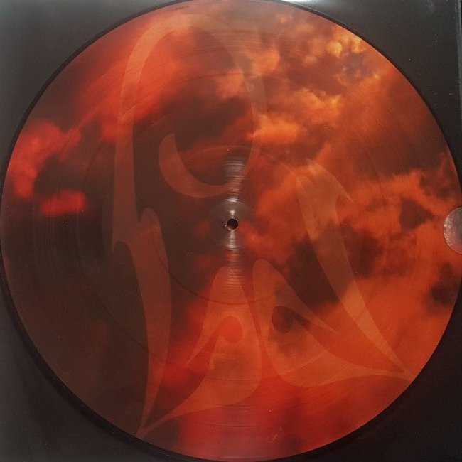 Michael Jackson History Continues (2xPicture Disc)