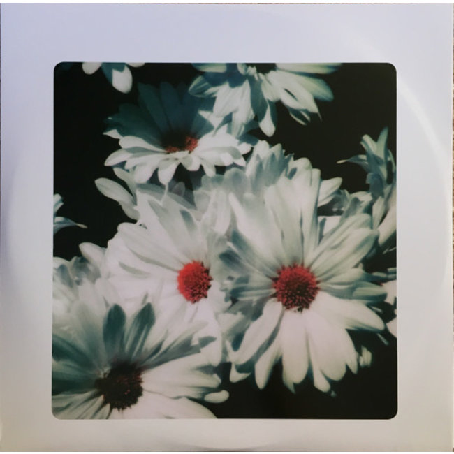 Lana Del Rey Lust For Life ( vinyl record 2LP ) VinylVinyl