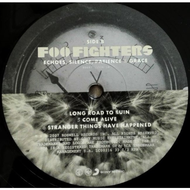Foo Fighters Echoes Silence Patience & Grace ( vinyl record 2LP ) VinylVinyl