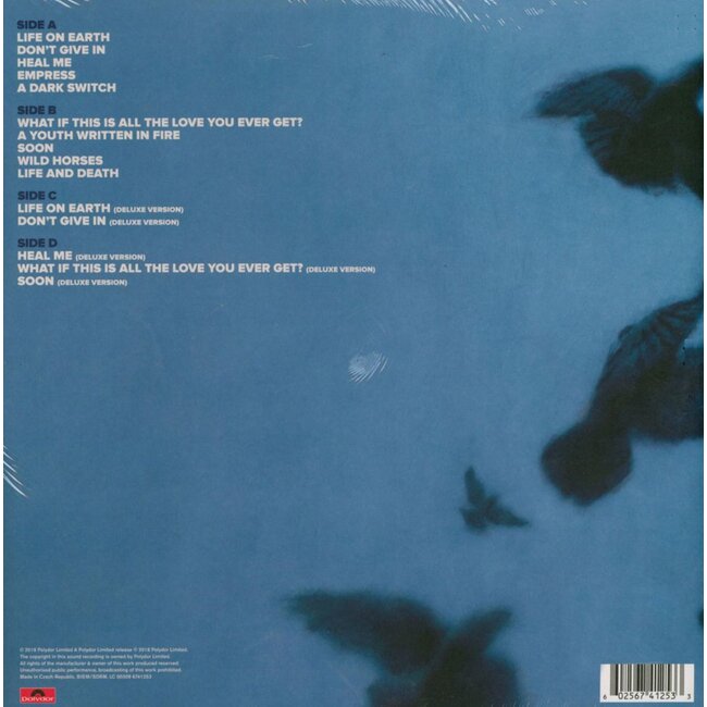 Snow Patrol Wilderness ( vinyl LP )