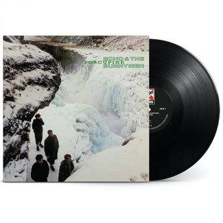 Echo & The Bunnymen Porcupine ( remastered 180g vinyl LP )