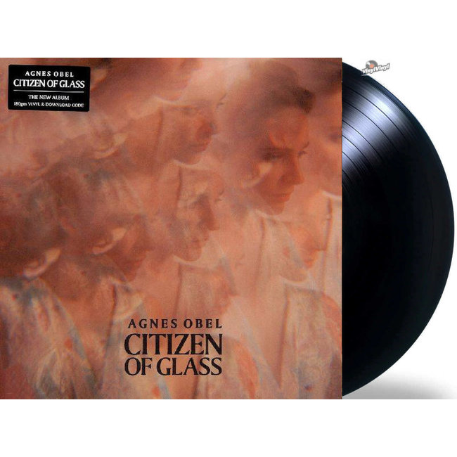 Agnes Obel - Citizen of Glass (180g vinyl LP )