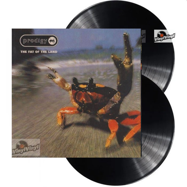 Prodigy Fat of the Land ( vinyl 2LP ) - VinylVinyl