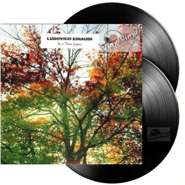 Ludovico Einaudi In A Time Lapse ( vinyl 2LP ) - VinylVinyl