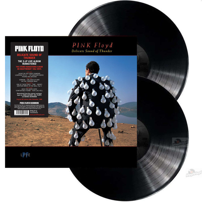 Pink Floyd Delicate Sound of Thunder = remastered 180g vinyl =2LP =