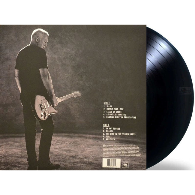 David Gilmour  Rattle That Lock ( 180g vinyl LP )