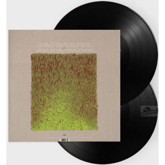 Iron & Wine  Our Endless Numbered Days  ( deluxe ) ( vinyl 2LP )