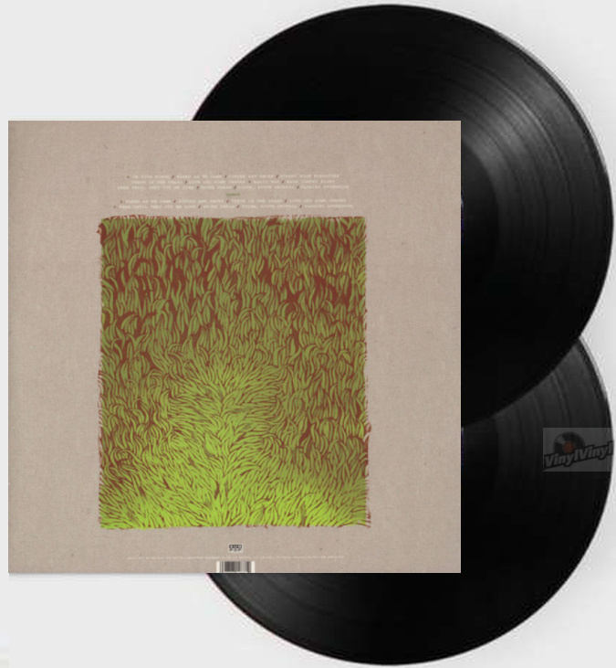 Iron and Wine Our Endless Numbered Days ( deluxe ) ( vinyl 2LP