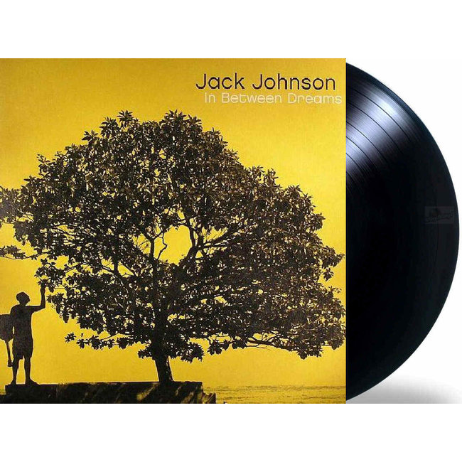 Jack Johnson In Between Dub ( 180g vinyl LP )